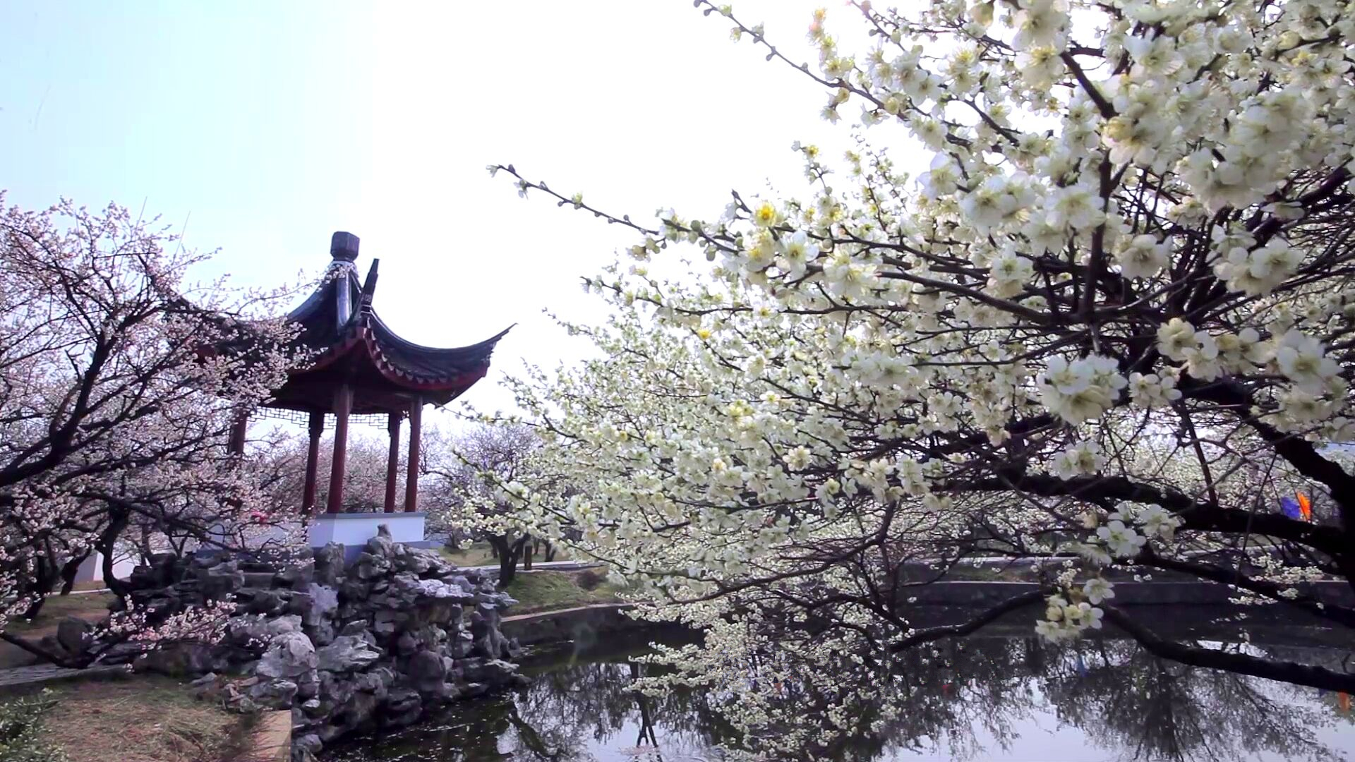 江南水乡苏州绝美的古镇自然风景,苏州十五个最美古镇推荐