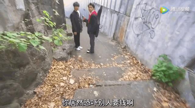 日本网红女孩事件,日本女网红事件