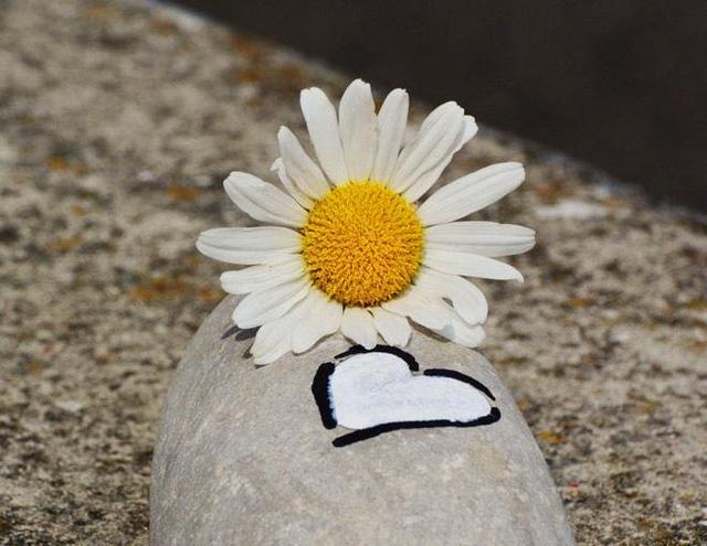 对方把微信拉黑和删除有什么区别,微信被删除和拉黑朋友圈显示什么