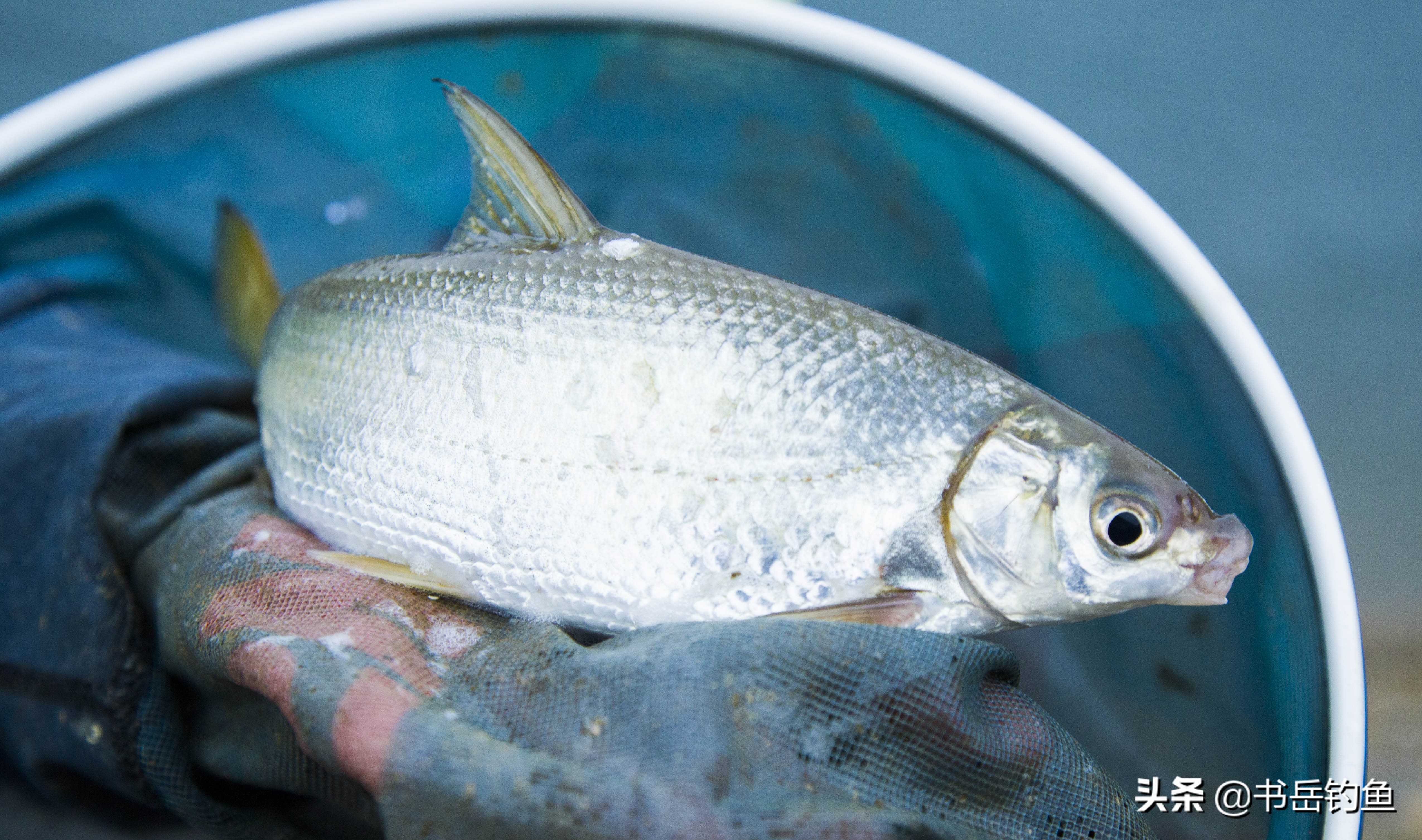 空杆是怎么回事,空杆是什么原因引起的
