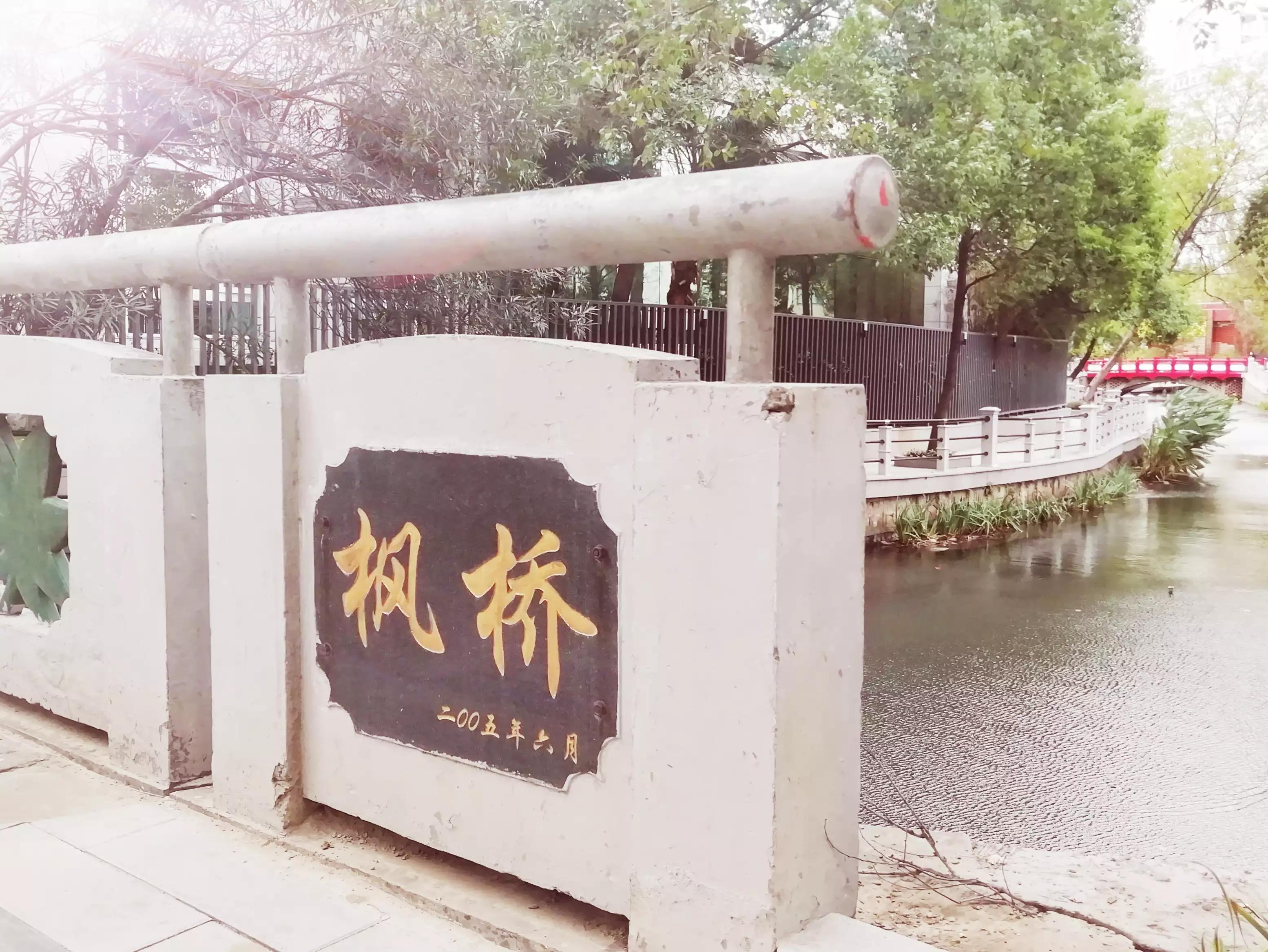 此劳模新村何以植物命名马路，以至美得像江南园林？