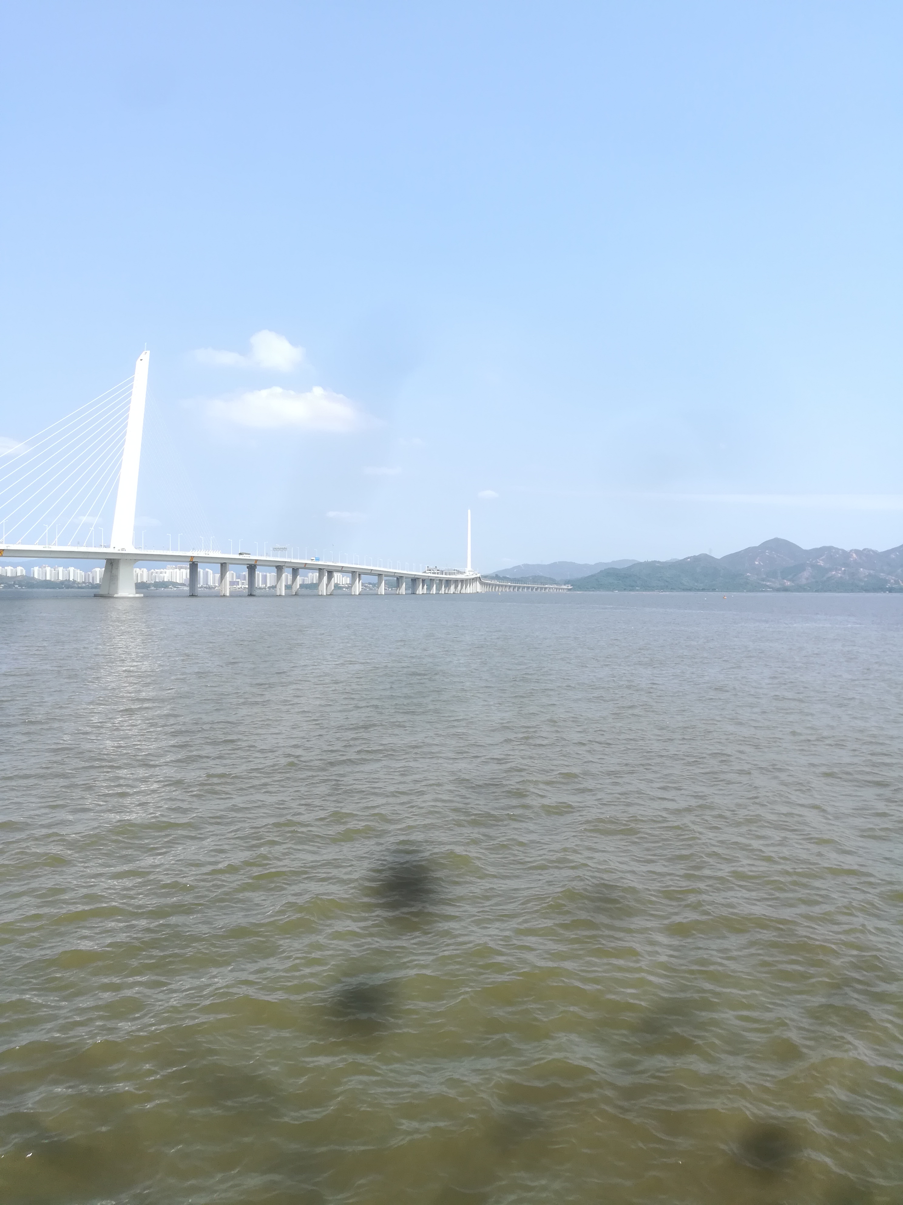 深圳湾公园停车场攻略,深圳湾运动公园沙滩