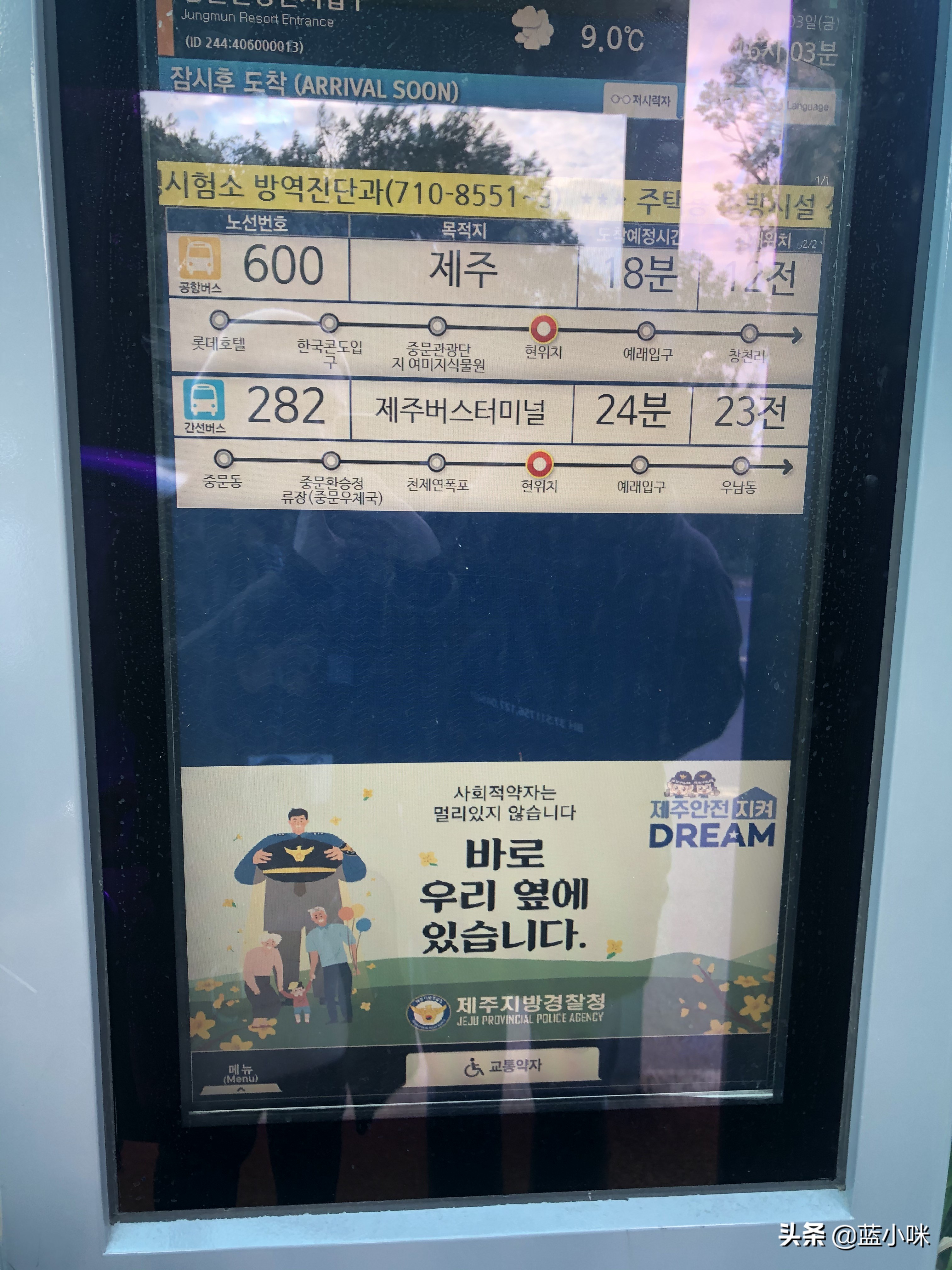 济州岛攻略第一次出国,济州岛超全攻略