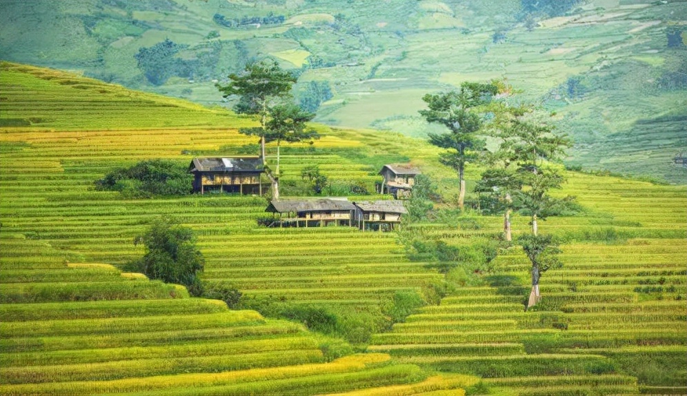 杈夊畨鍖栧伐鏈夐檺鍏徃,杈夊畨鍖栧伐