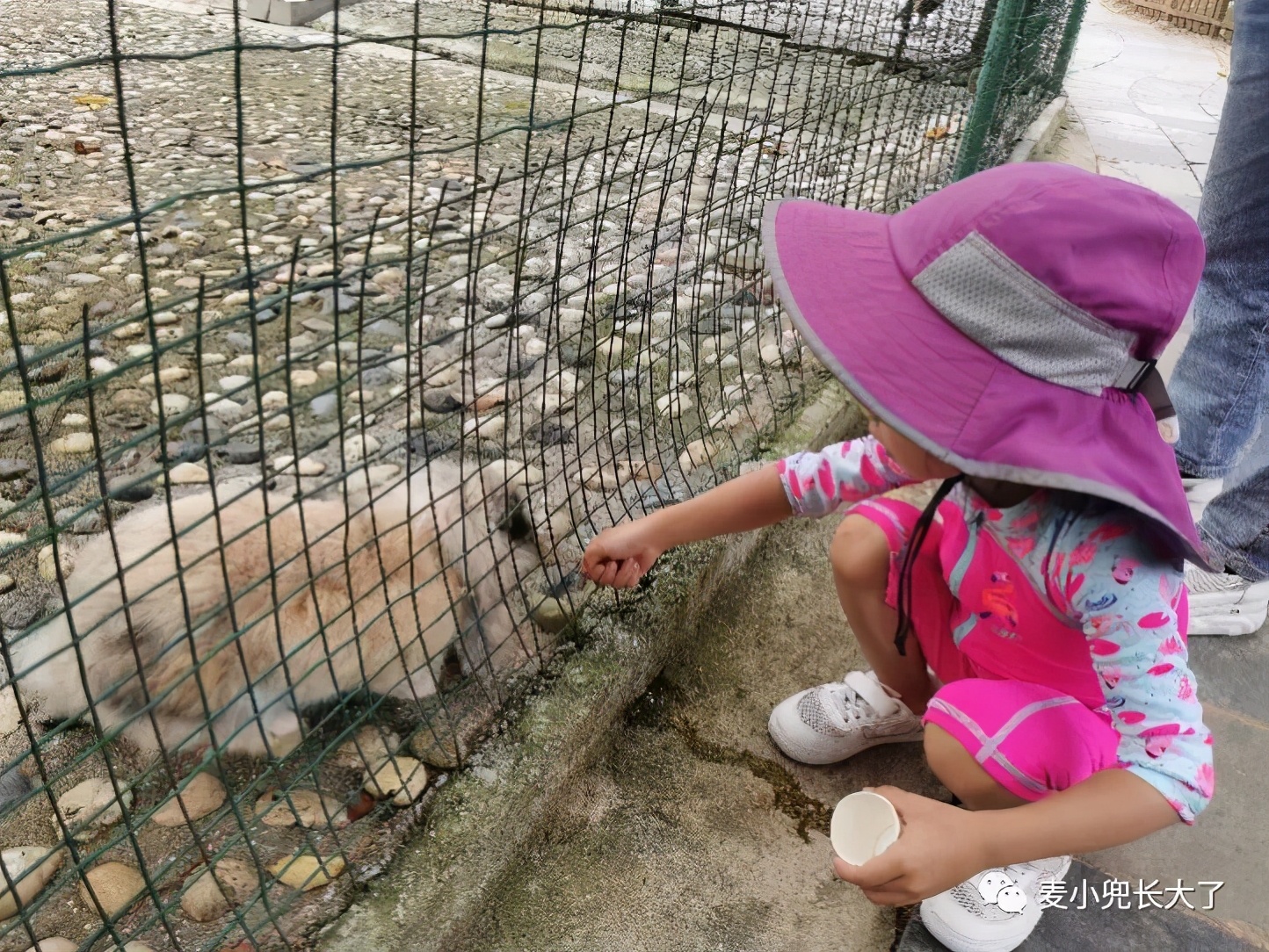 国内哪家clubmed好玩,国内的clubmed哪个最好玩