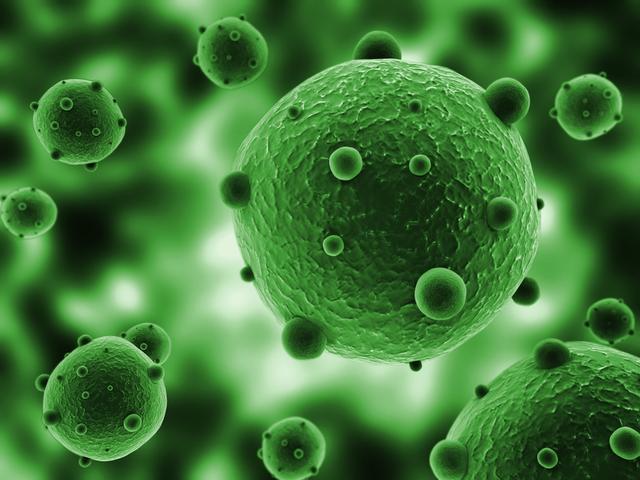 养兔怎么预防疾病呢,养兔的常见疾病和防治