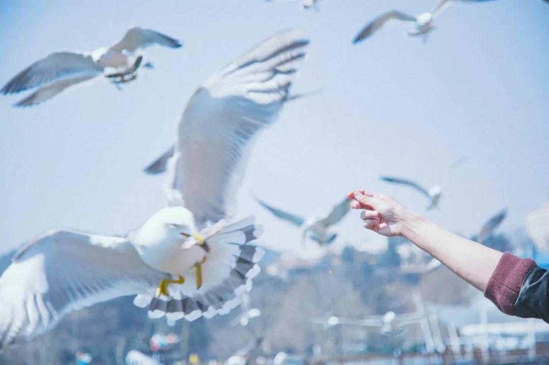 三亚和厦门哪一个更值得去旅游,三亚和厦门哪个地方值得去