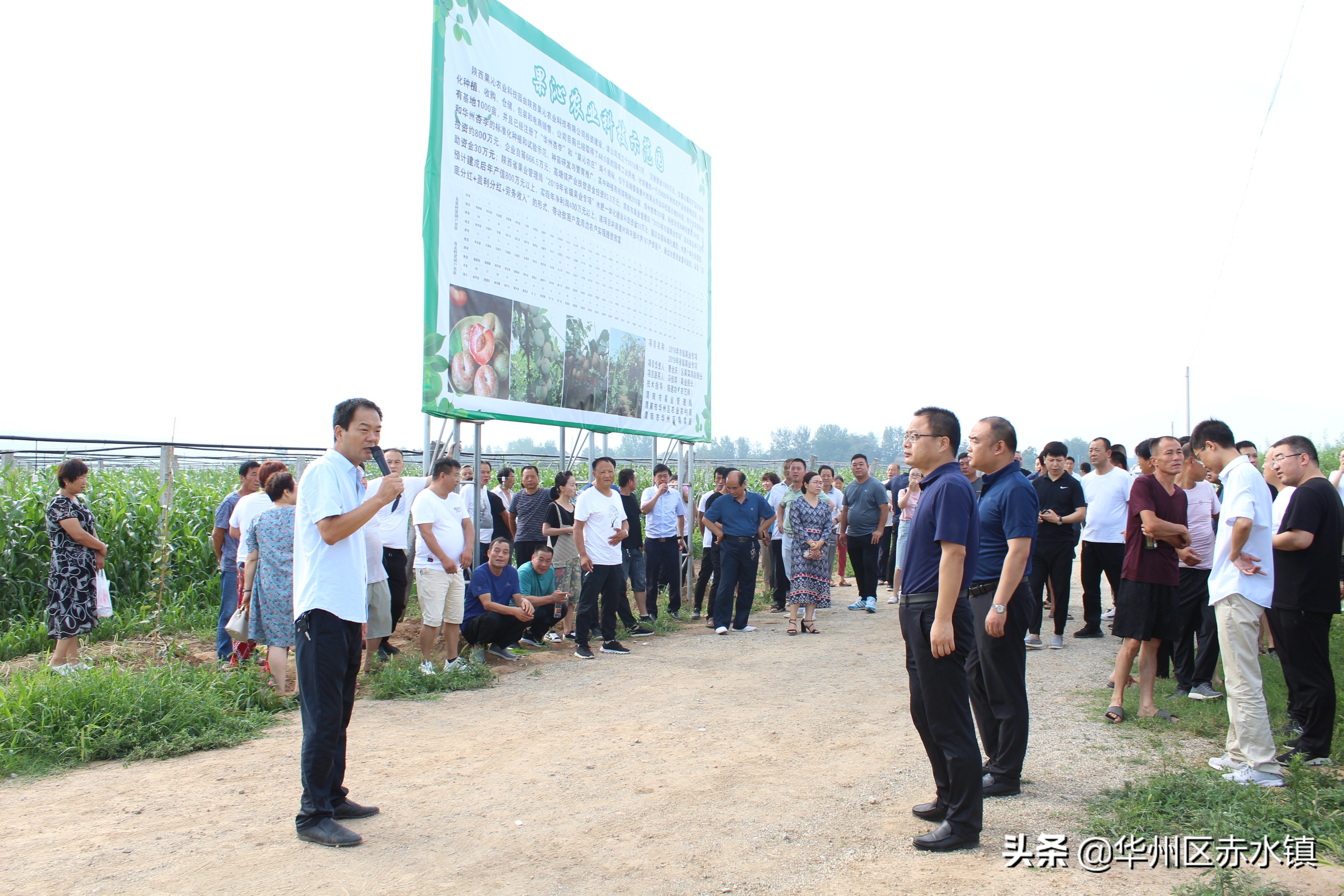 华州区赤水镇：小小“恐龙蛋”助力脱贫路