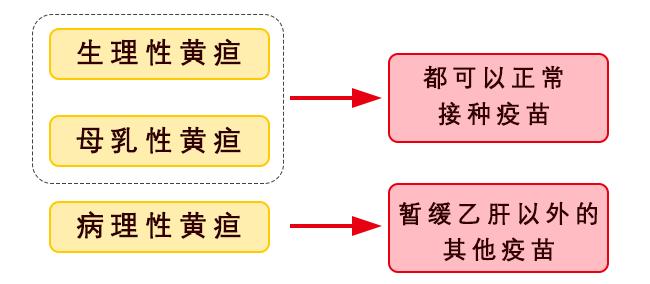 黄疸不是病,黄疸不严重可以打乙肝疫苗吗