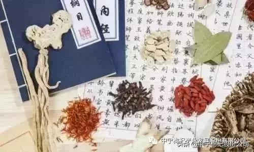 古代枸杞怎么用,古人枸杞子的用法