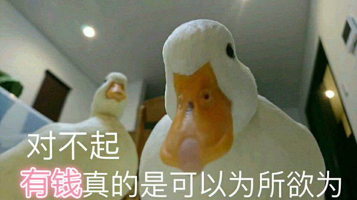 双12还准备剁手吗,双12还剁手吗