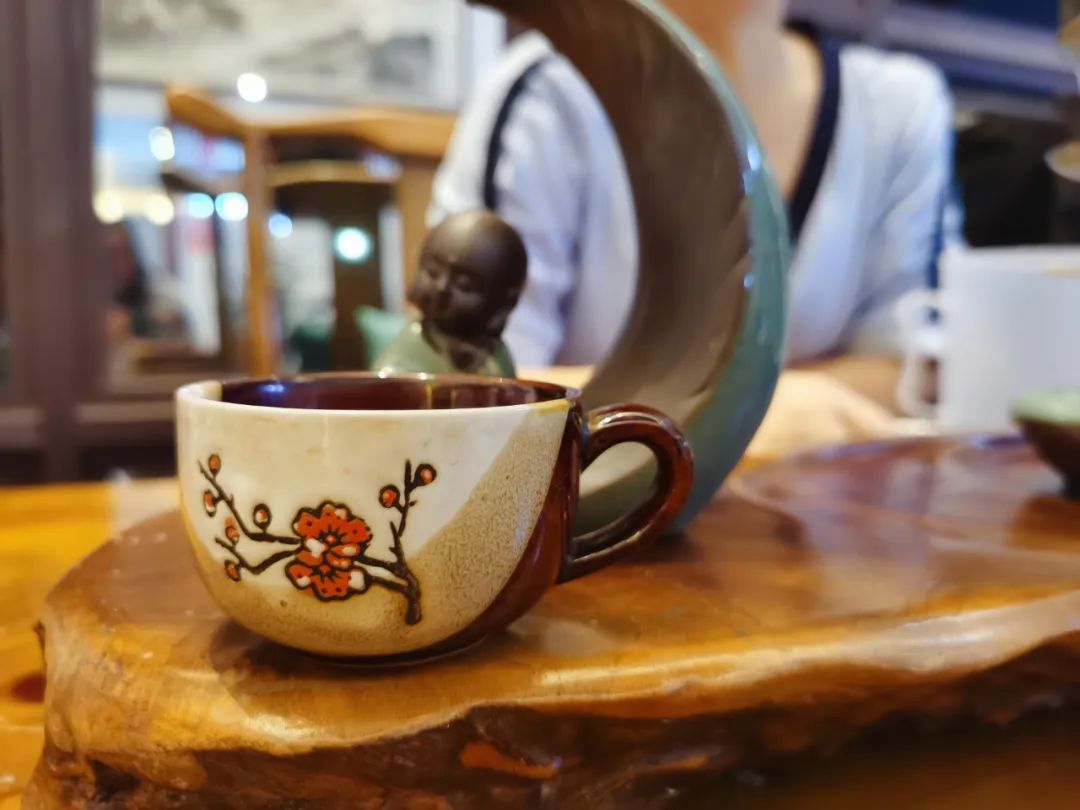 横琴奏一曲：瑜家的温馨丨初夏.珠海后花园畅游记