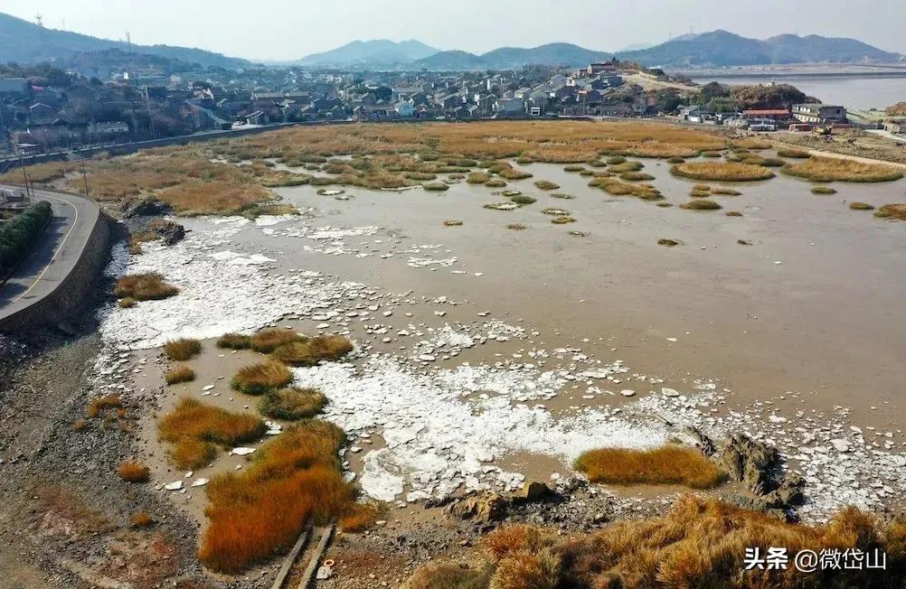 你好，我叫岱山，这是我的最新简历