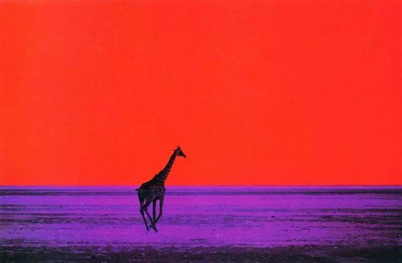 杰作20种构图原理,拍出绝世佳作视频