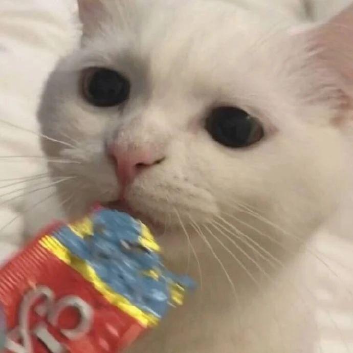 搞笑gif趣图我终于自由了,搞笑gif趣图一步做错步步皆错