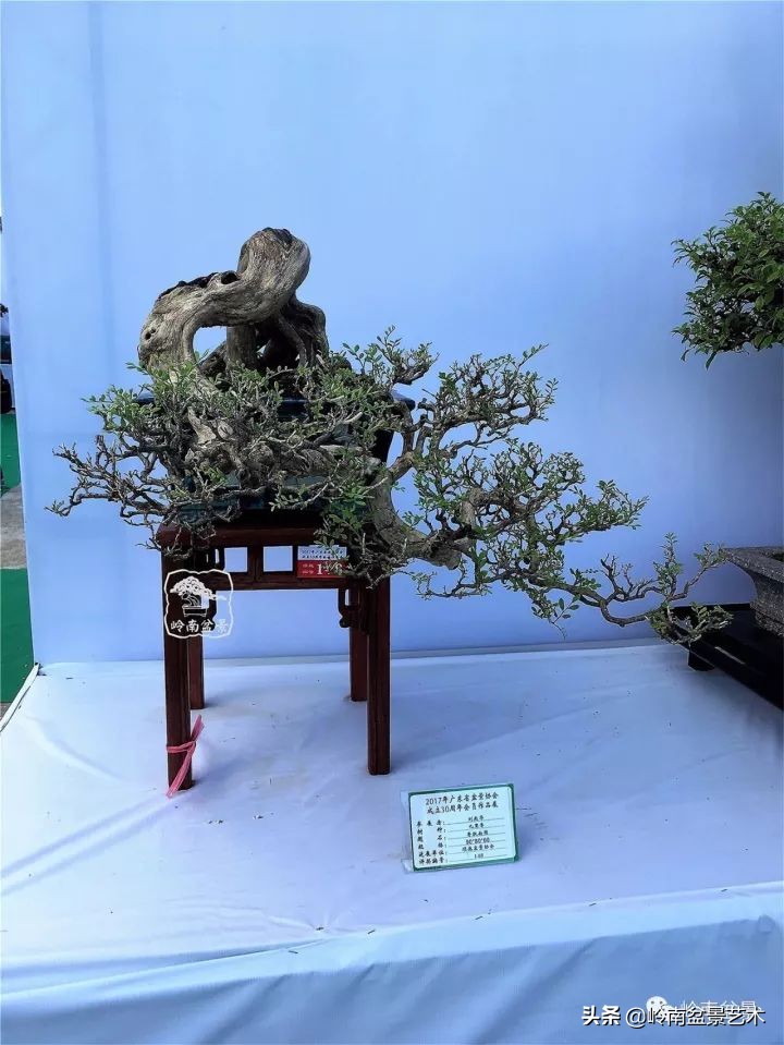 骞哥涔呬箙鐢滅敎铚滆湝,骞哥涔呬箙