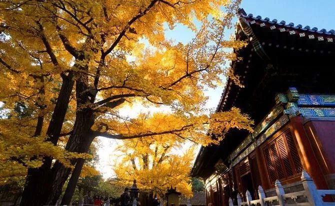 去北京不可错过的地方,不去热门景点游北京