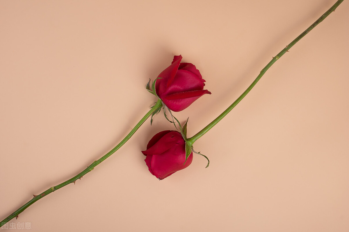 当你的男朋友提出分手应该怎么做,男朋友和你分手了你应该怎么办