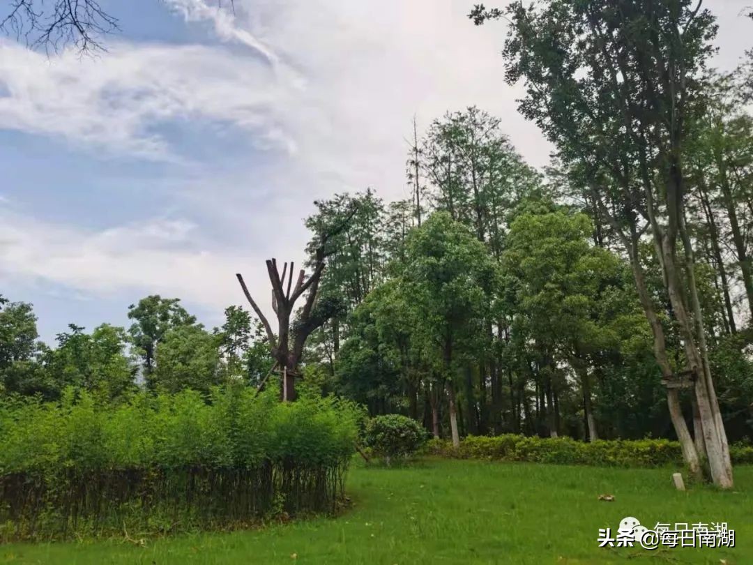 南湖的生态公园,南湖公园在未来哪里