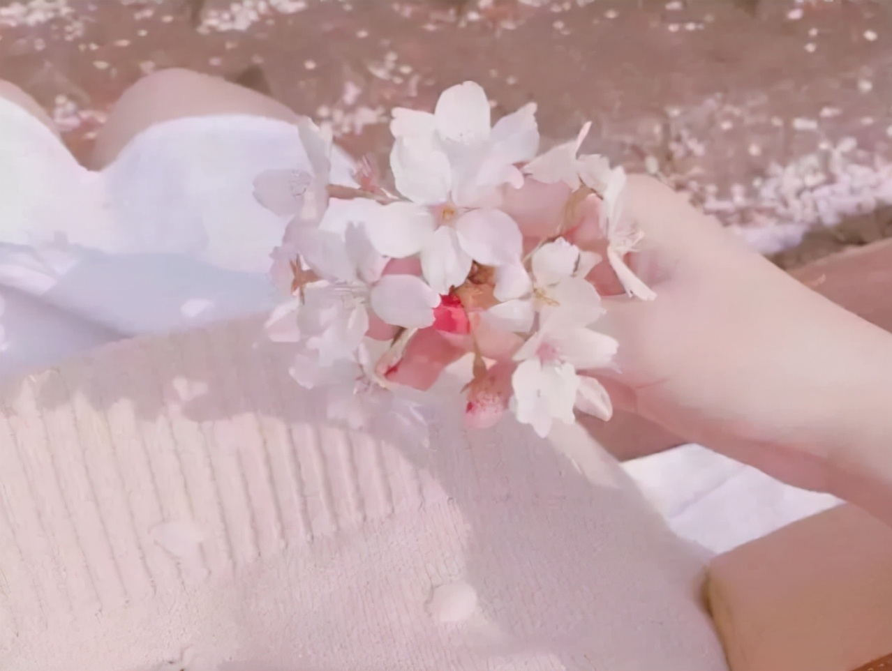 文艺慵懒而干净的句子,美食与生活的文艺句子