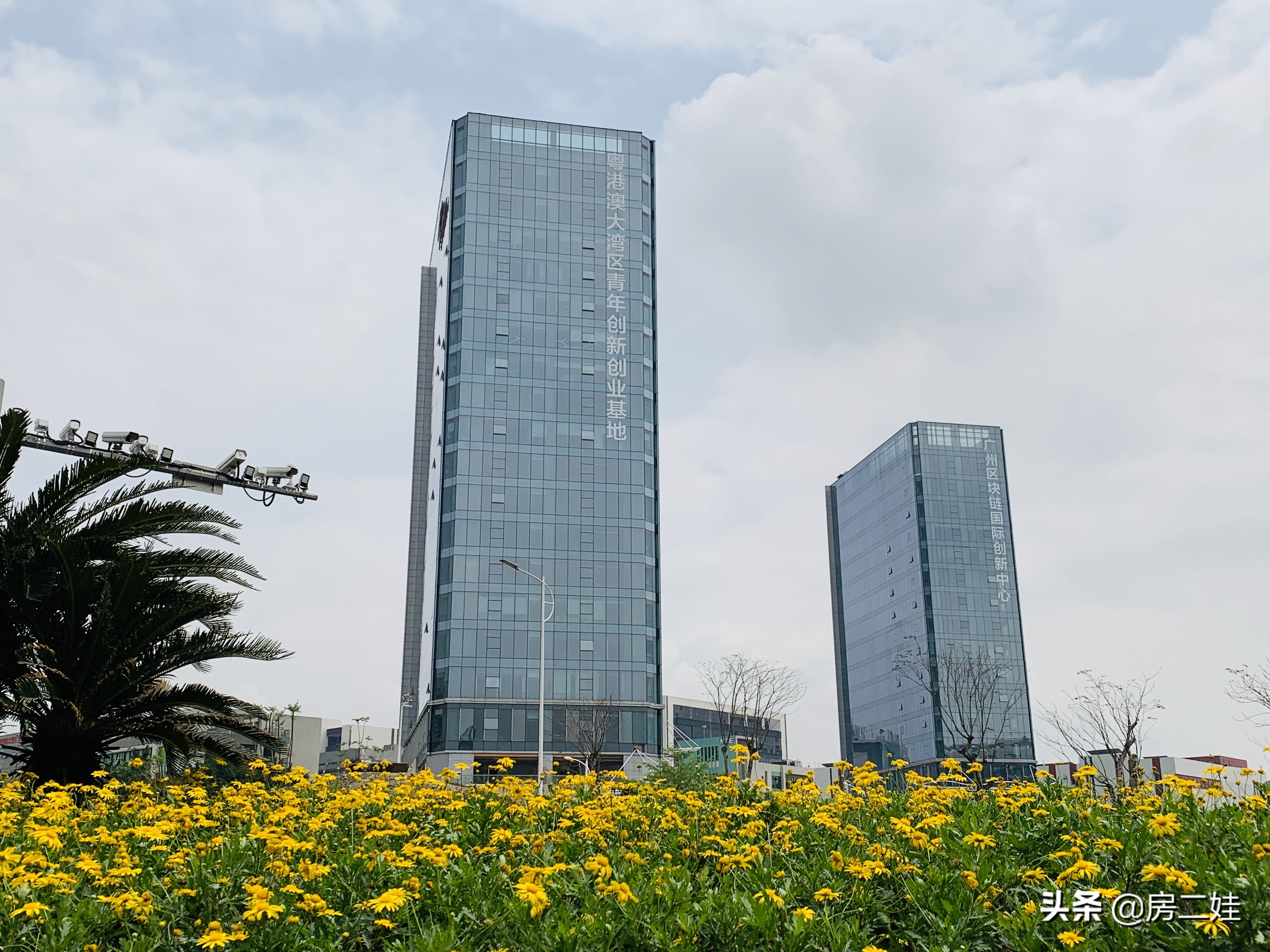 二娃探盘值得买吗,二娃说房性价比