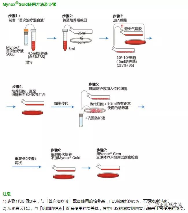 支原体污染怎么处理,支原体污染