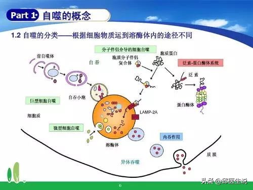 杞绘柇椋熸鍦ㄦí鎵叏鐞冪殑鍋ュ悍闈╁懡,杞绘柇椋熸í鎵叏鐞冪殑鍑忚偉鏂规硶