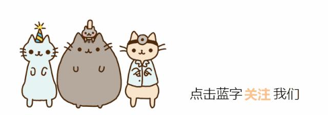 喵星人眼睛肿了,猫咪怎么得眼疾