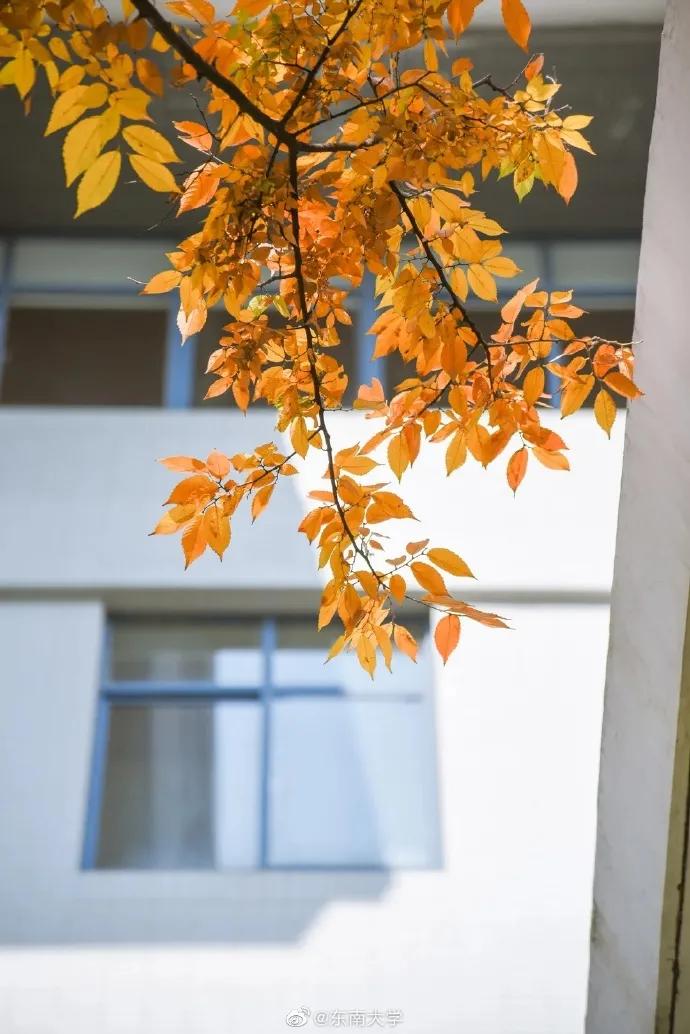 211逆袭北大,985211学霸