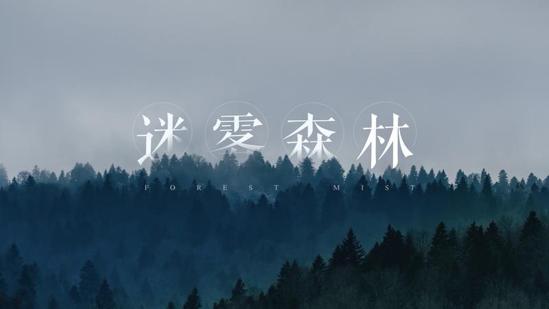 罗永浩谈演讲,老人与海演讲视频素材