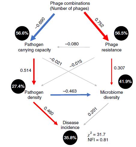 突破,南京农业大学韦中博等人首次用噬菌体治疗番茄细菌性枯萎病