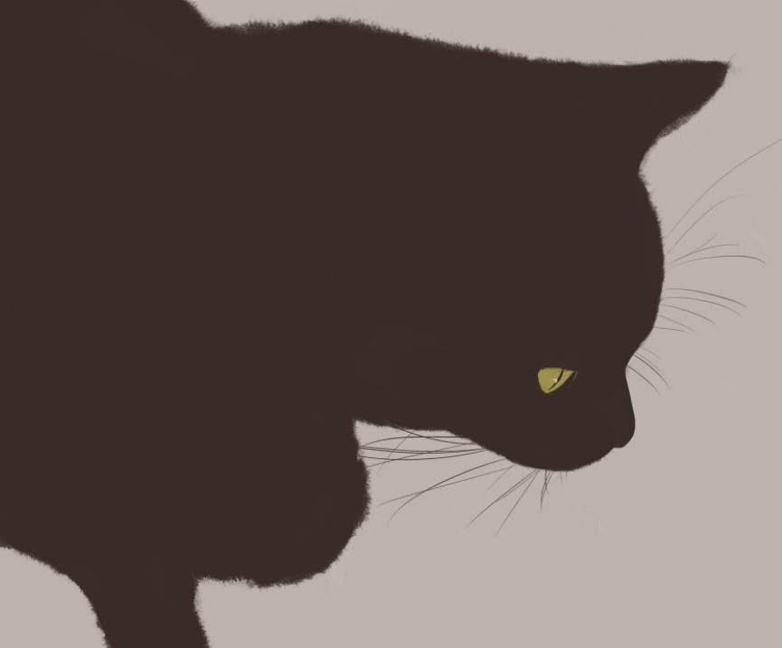 虽强但不具有深刻性，虚浮现实主义者，性格思维升华蜕变之狮子篇