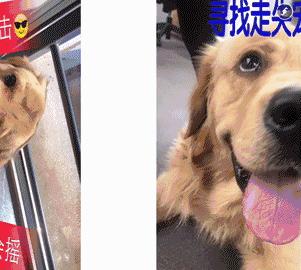 美图秀秀有慢动作吗,美图秀秀傻瓜式操作