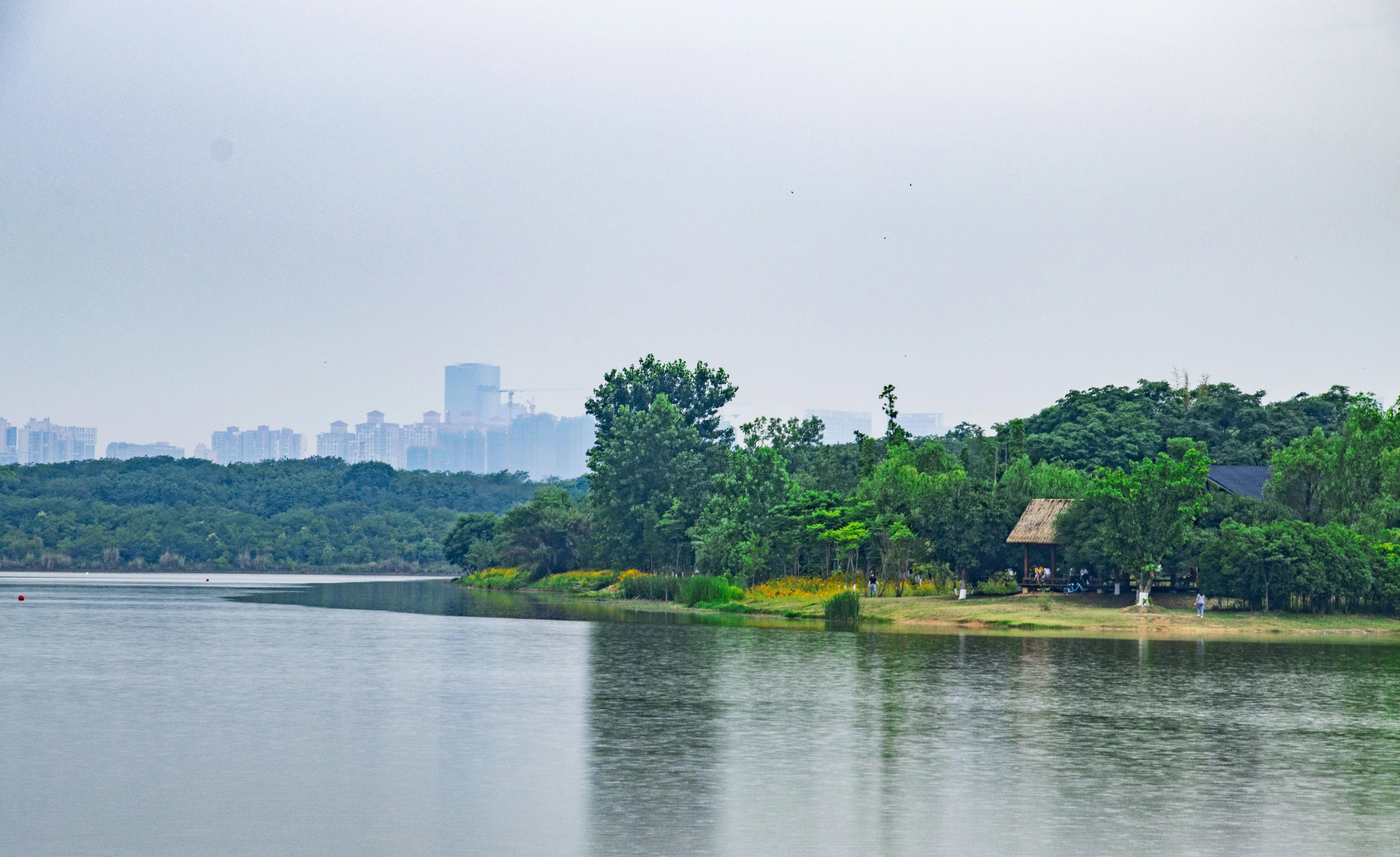 龙泉十陵航拍,龙泉驿区十陵