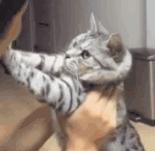 冬季必买的3款包包太时髦了,今年秋冬流行什么包包款式好看