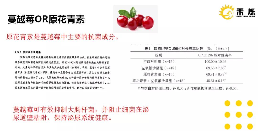 猫咪泌尿感染有哪些症状,矿砂对猫咪泌尿有影响吗