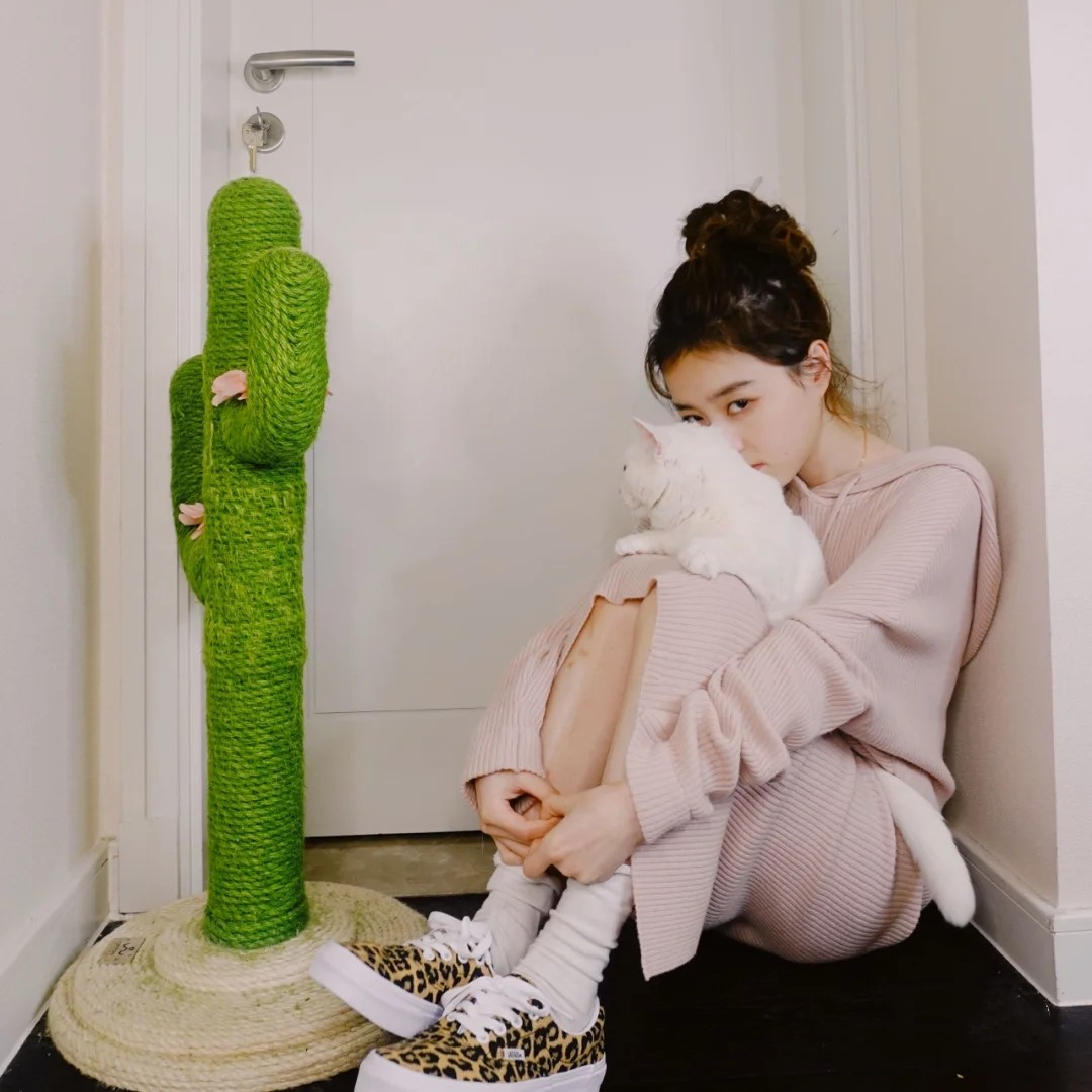 跟着时尚博主学穿搭,跟着博主打卡