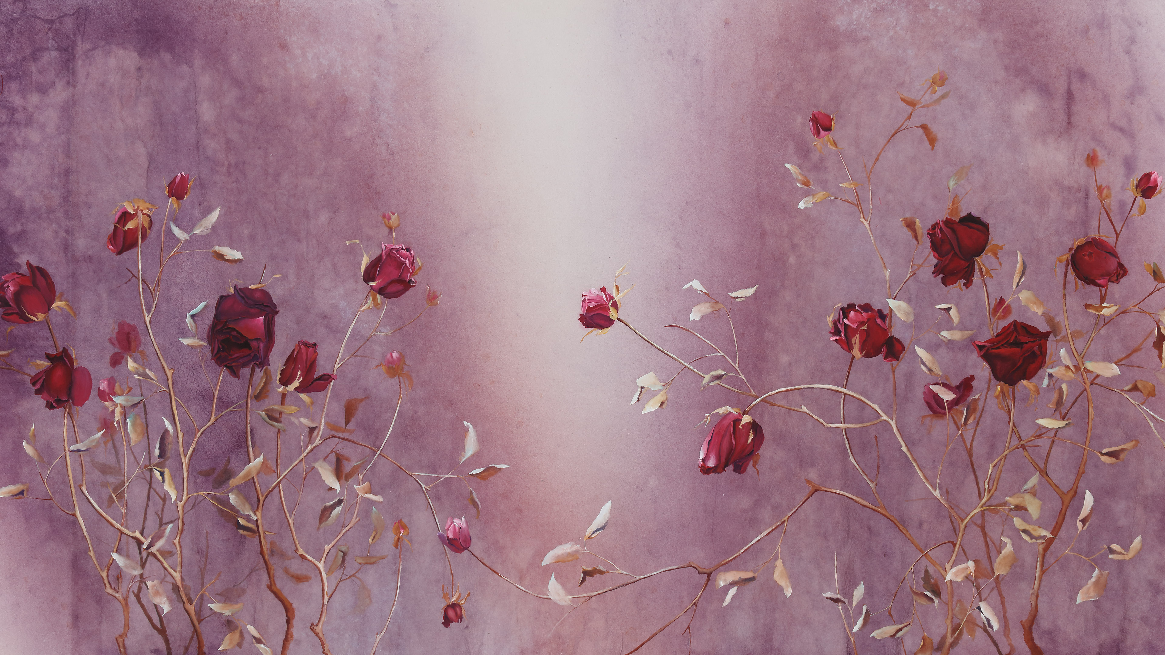 穆萨最新作品,穆萨的新歌