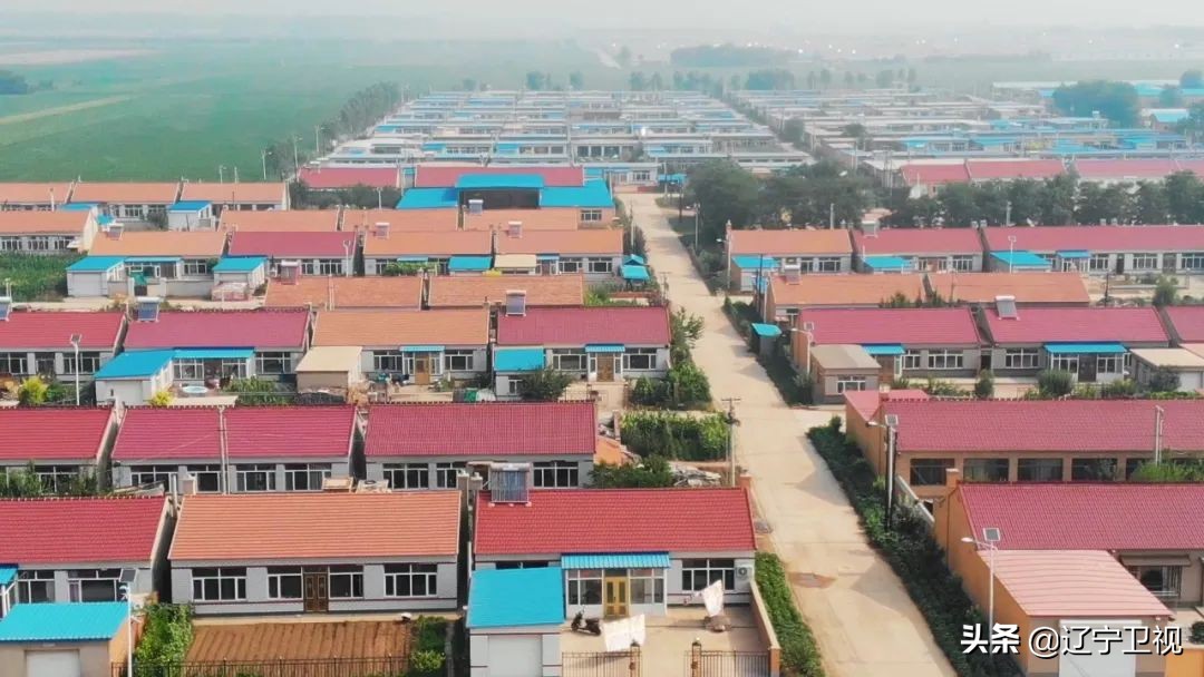 东港草莓红火,东港草莓产业成功的奥秘