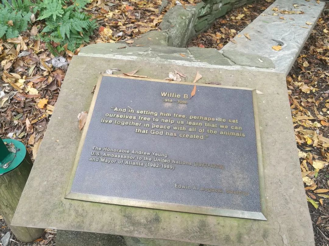 亚特兰大动物园,亚特兰大动物园和华盛顿动物园