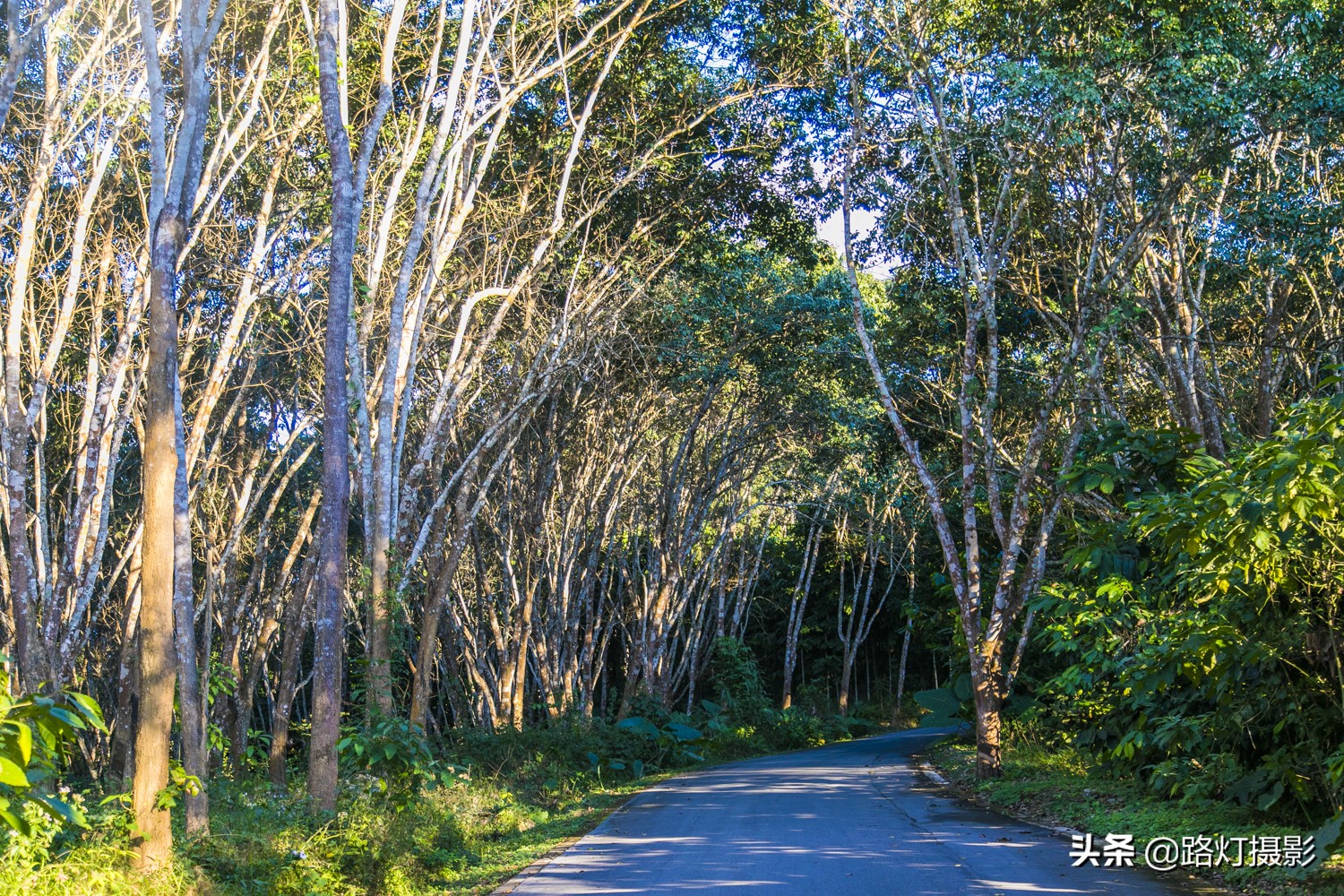 云南核心景区排名前十名,云南10个5a级景区怎么游比较顺
