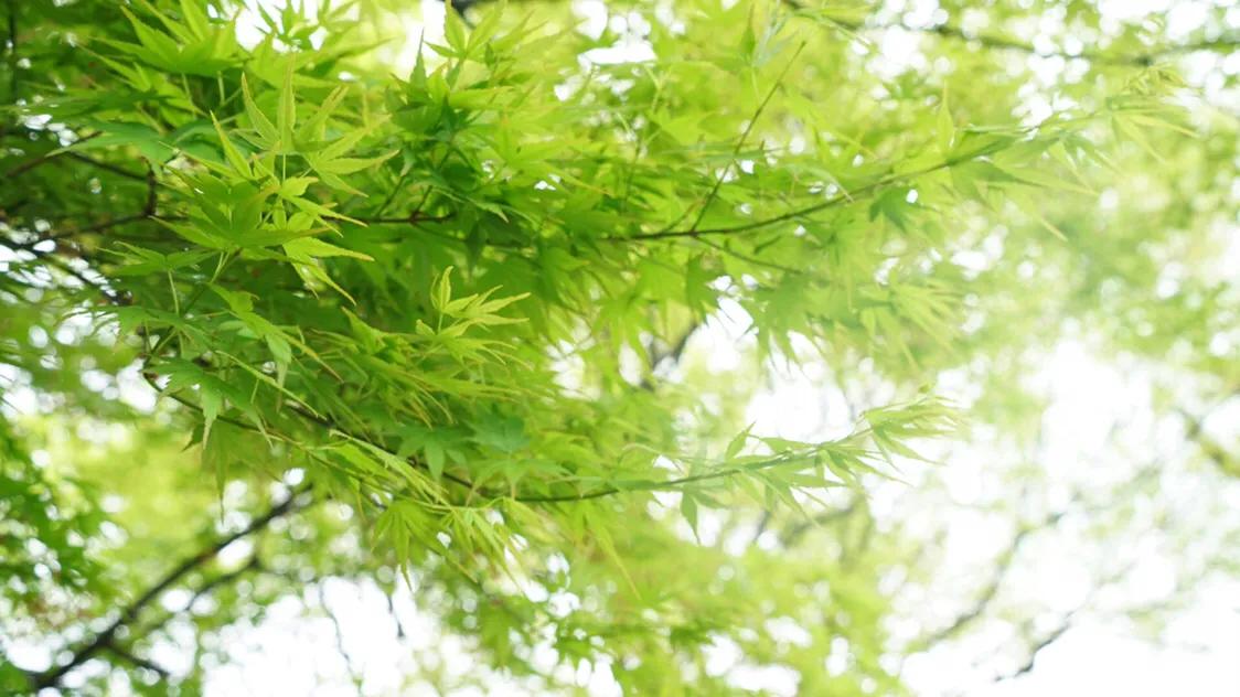 学会放松自己活得开心点,学会让自己放松下来