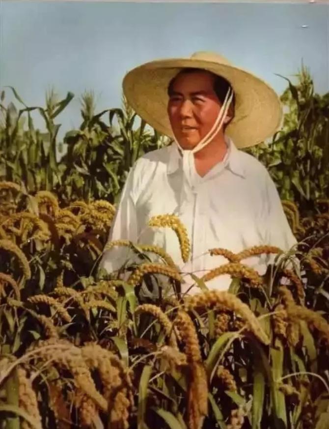 今天是你的生日我们要纪念您,今天是你的生日我衷心祝福您