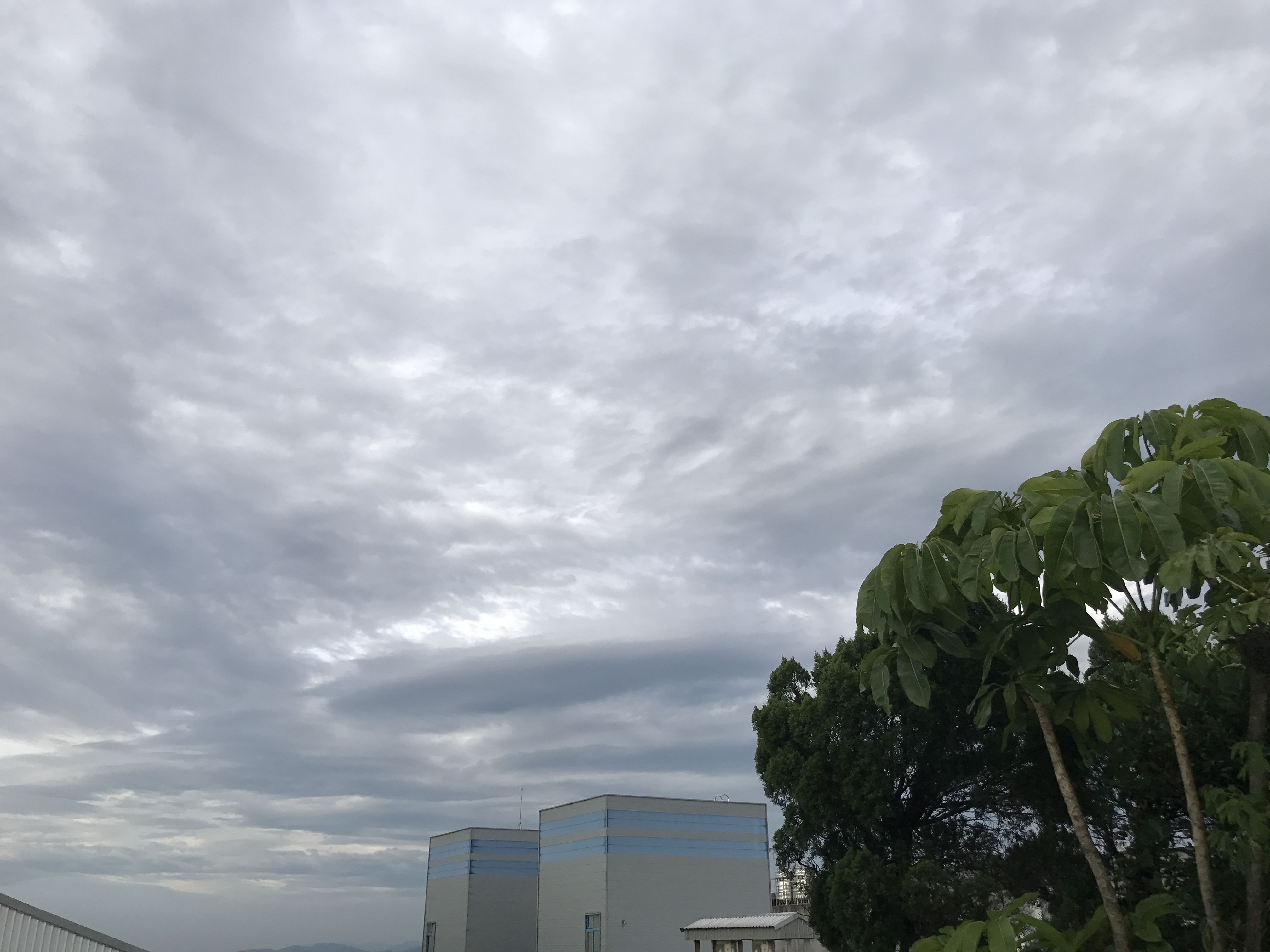 绿色的植物洗发水,绿色农场洗发水好用是真的吗