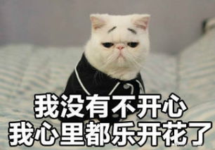 只能修改一次名字,修改微信号包含女朋友的名字