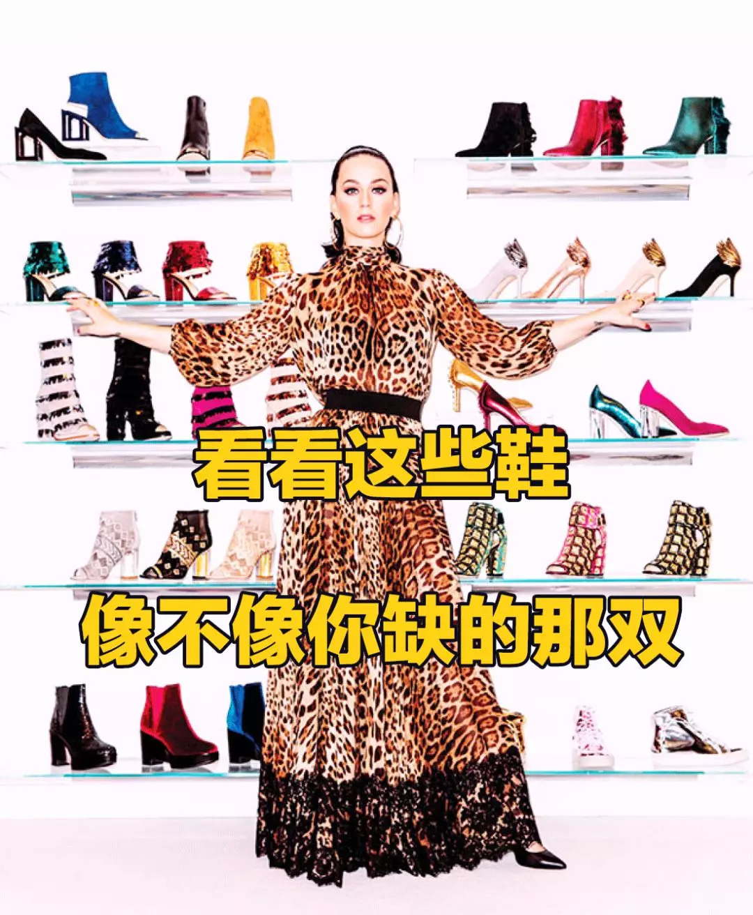 明星的副业是什么,明星副业比你还努力