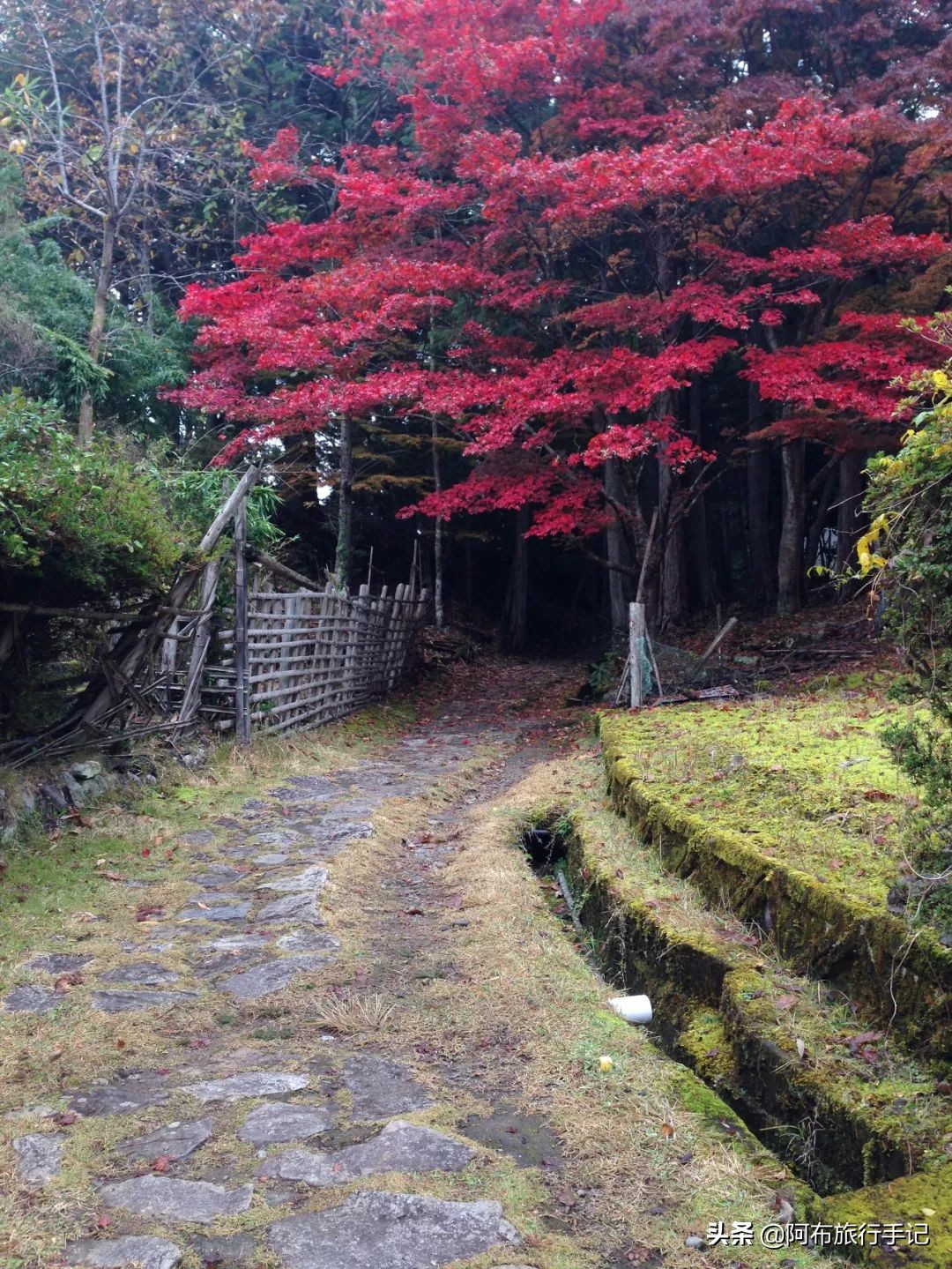 日本熊野古道拍摄,摄影师镜头下的景区