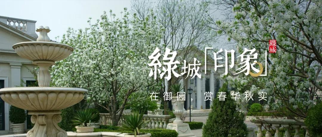 绿城印象南宁市江南区,绿城印象楼中楼