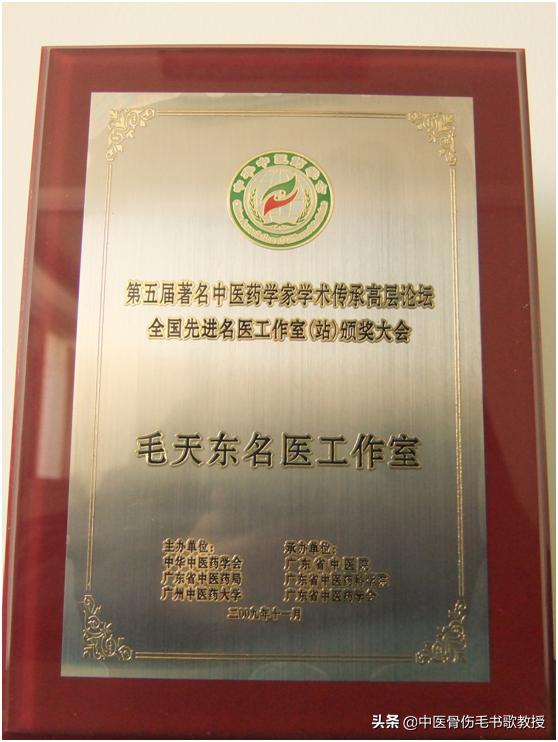 洛阳正骨非遗传承,非物质文化遗产中医传统正骨技艺