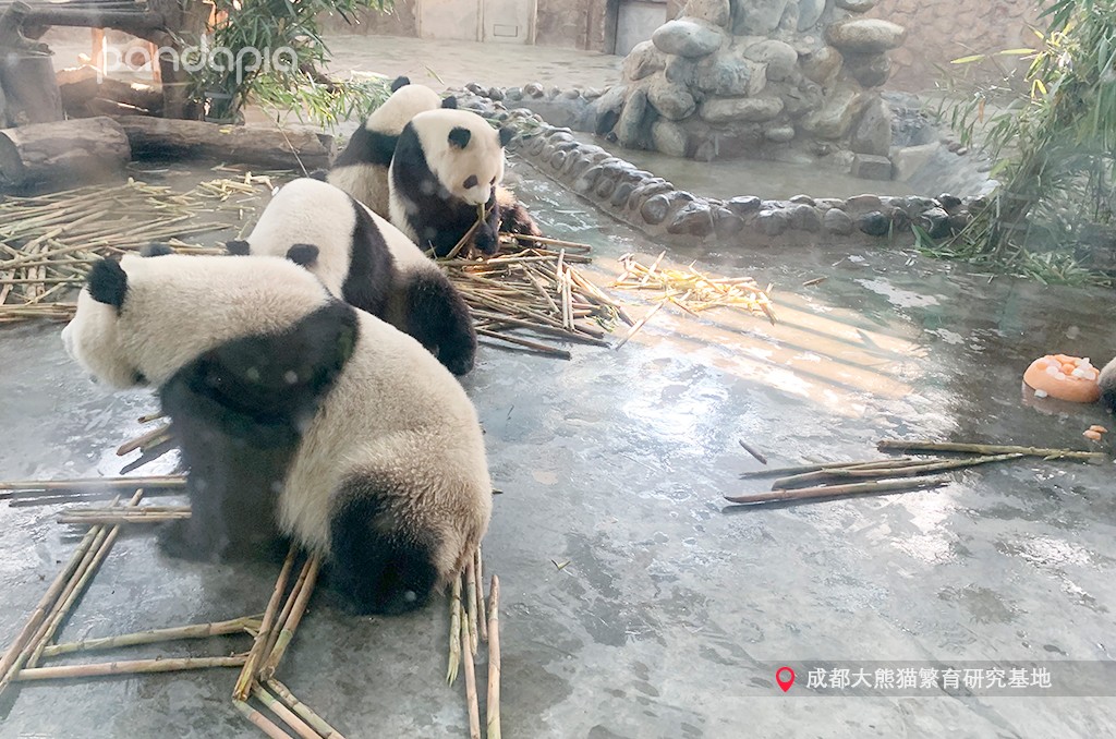 做塑料姐妹,真正的塑料姐妹是什么样的